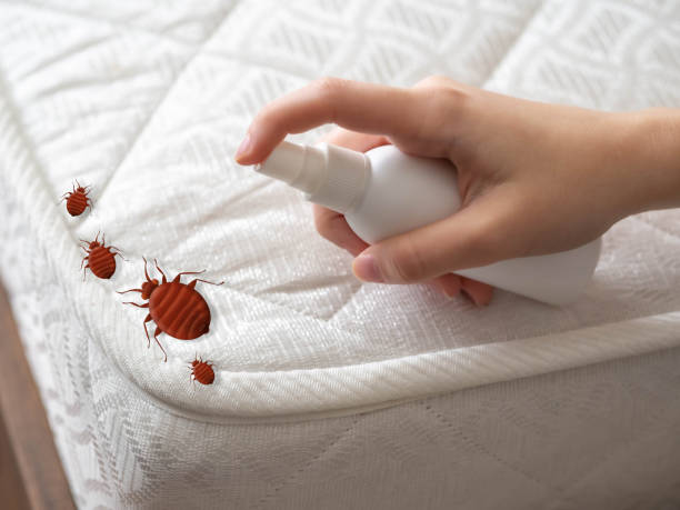 Best Pest Control for Multi-Family Homes  in East Rockingham, NC